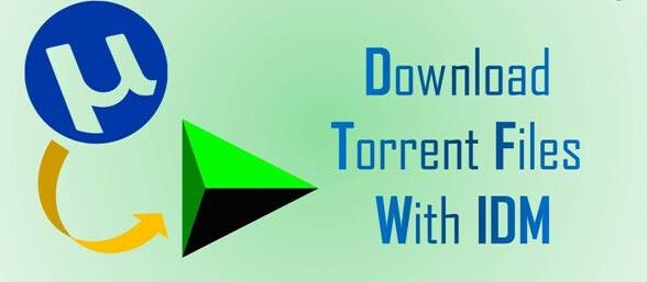 How To Download Large Torrent Files With Idm At High Speed Tips Tricks Duforum