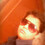 Ayush_Sharma2