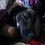 Rushikesh_Buktare